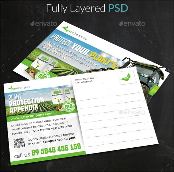 photoshop psd postcard template for agriculture