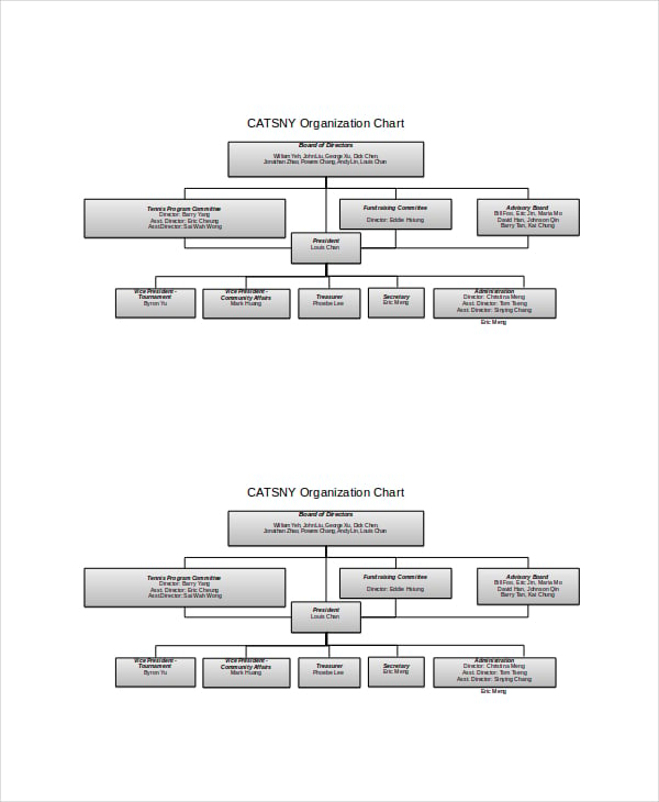 catsny organization chart template