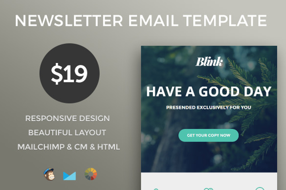 responsive email newsletter template