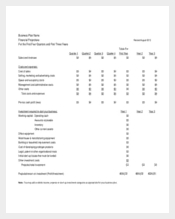 Financial Projection Template Instructions