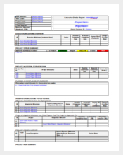 project Executive Status Report Template