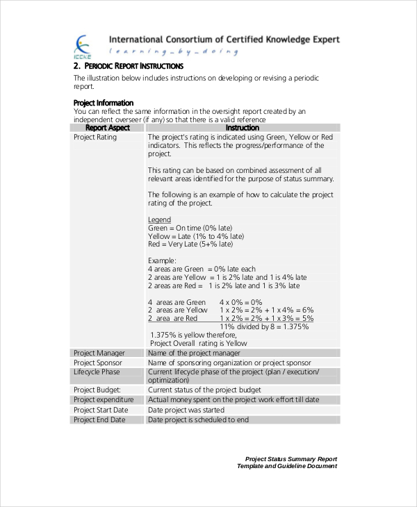 Sample Project Summary Template