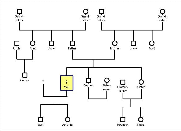 joint family genogram template using genopro