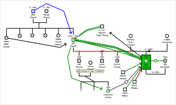how to do a genogram