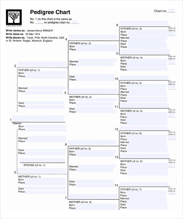 pedigree chart genogram template pdf free printable