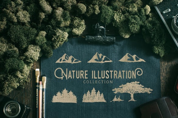nature illustration collection of tree logo