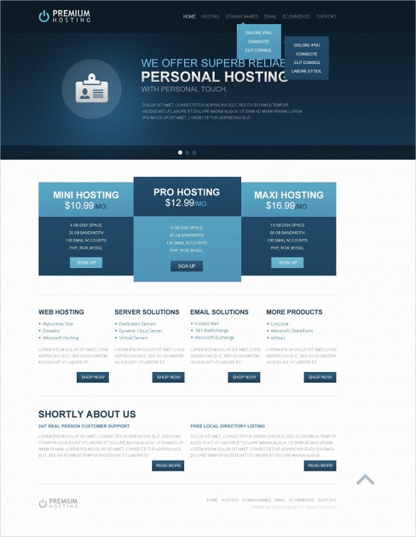 premium hosting website template
