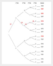 Tree Diagram For Binomial Trail