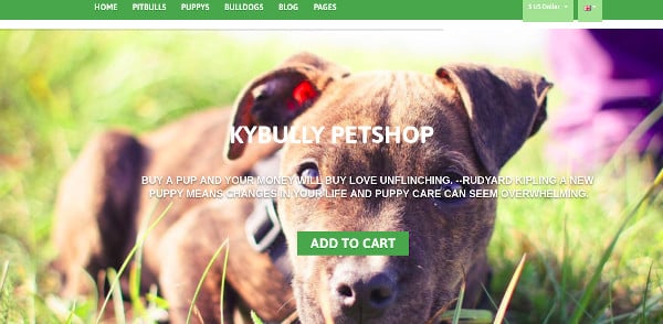 pet-mobile-first-opencart-theme