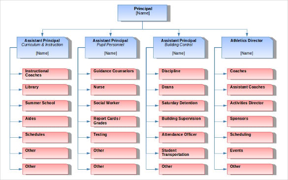 school blank organizational chart