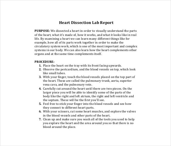dissection lab report template