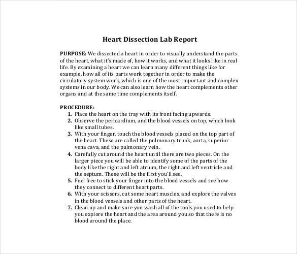 lab report procedure example