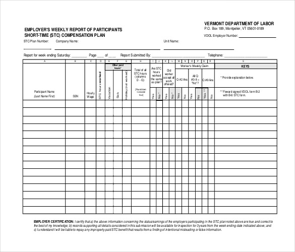 25+ Weekly Report Templates - Free Sample, Example, Format Download