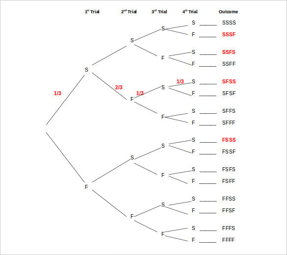 tree diagram for binomial trail