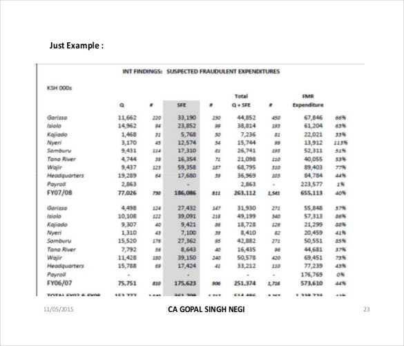 forensic audit report