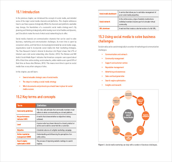 Web Strategy Planning Template v6.0, PDF, Social Network