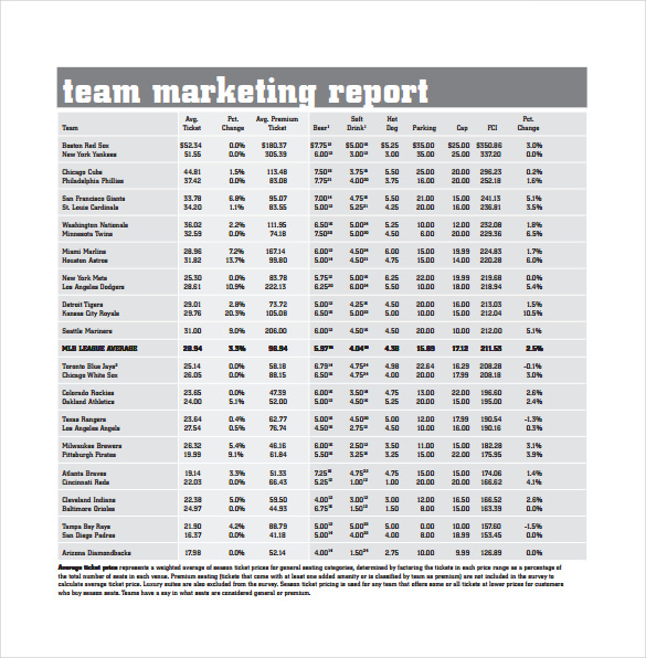 team marketing report pdf template free download