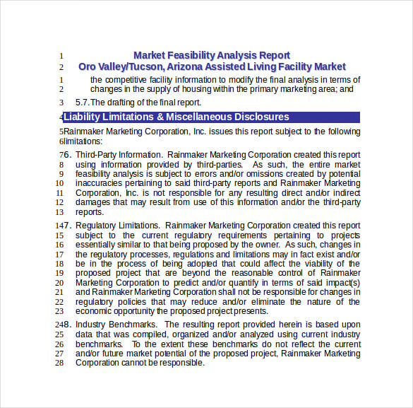 marketing feasibility analysis report word free download