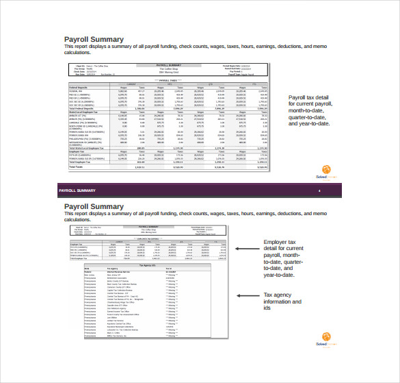 payroll summary report pdf template free download