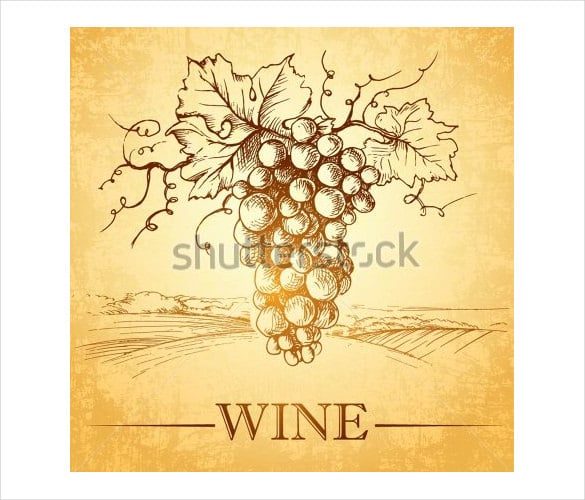 bunch of grapes for label of wine format
