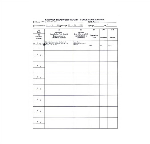 treasurer report template excel