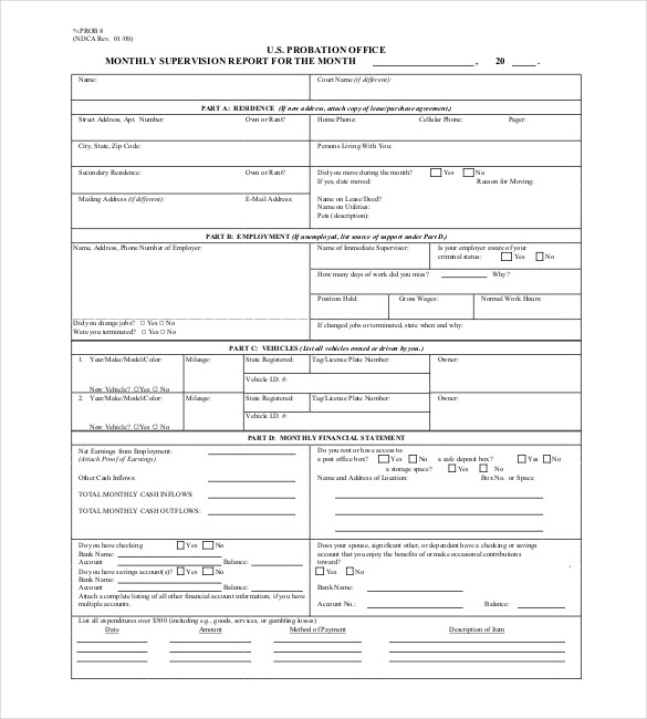 federal probation monthly report pdf