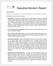 Executive Directors Report PDF Template Free Download