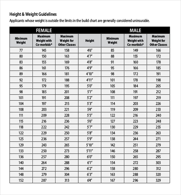 Height Weight Chart Templates 12+ Free Excel, PDF Documents Download