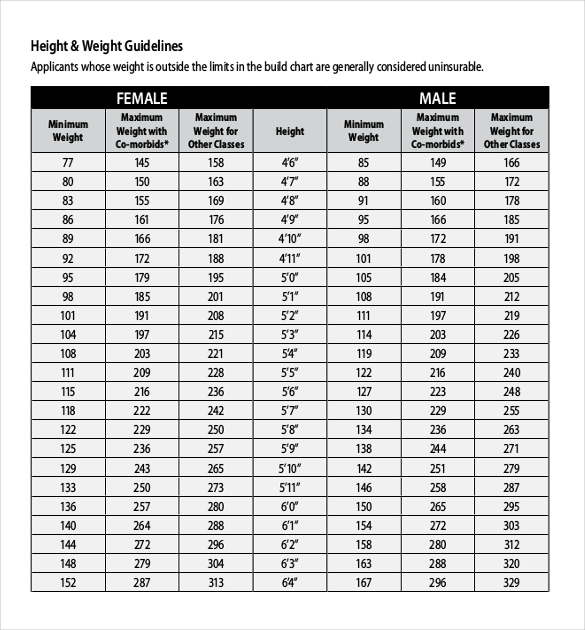 Height Weight Chart Templates 12 Free Excel PDF Documents Download