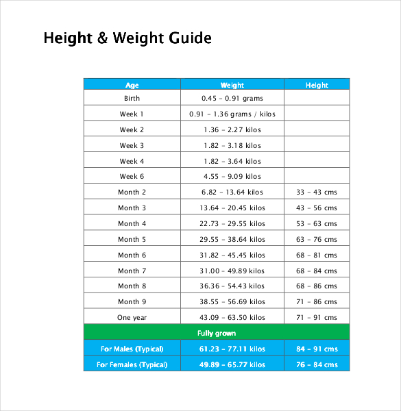 Height Weight Chart Templates 12+ Free Excel, PDF Documents Download