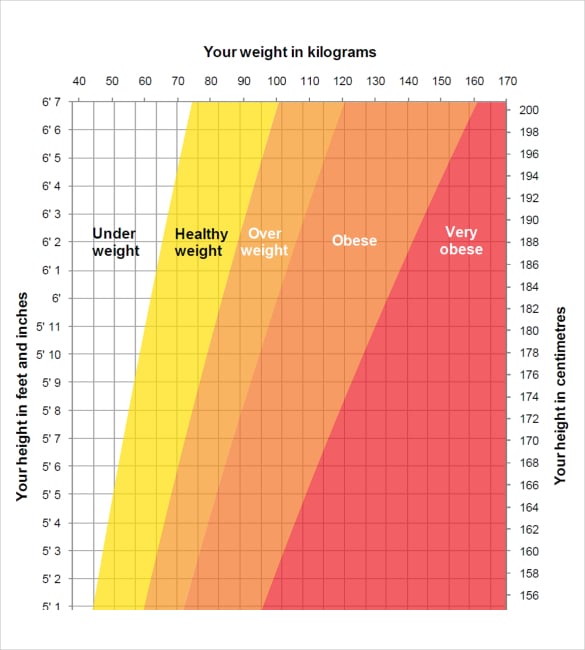 height-weight-chart-templates-12-free-excel-pdf-documents-download