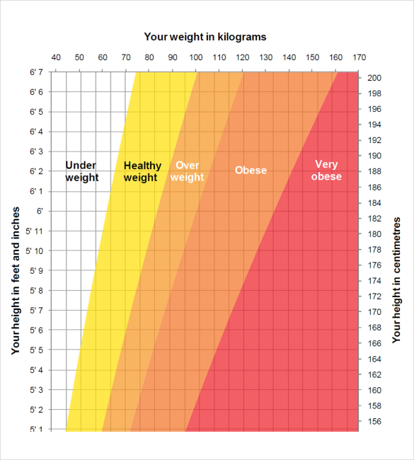 Height Weight Chart Templates – 12+ Free Excel, PDF Documents Download