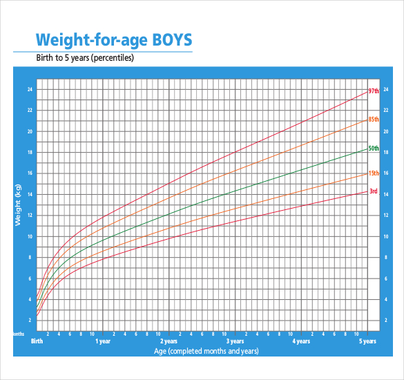 Height Weight Chart Templates 12 Free Excel Pdf Documents Download Free And Premium Templates 7428