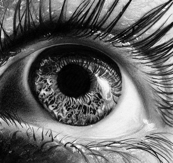 eye macro realistic pencil drawing free download