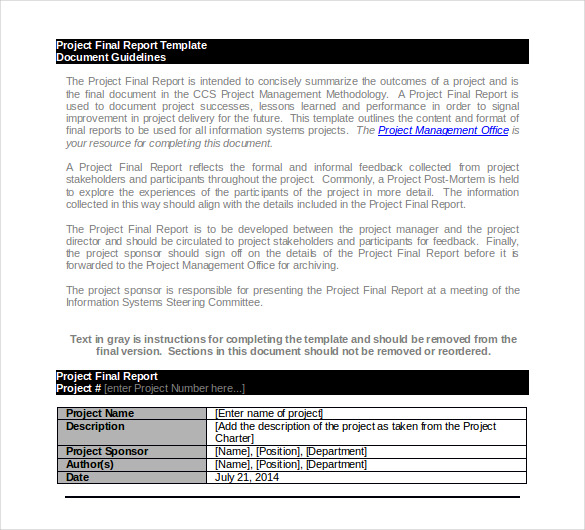 Project Report Format