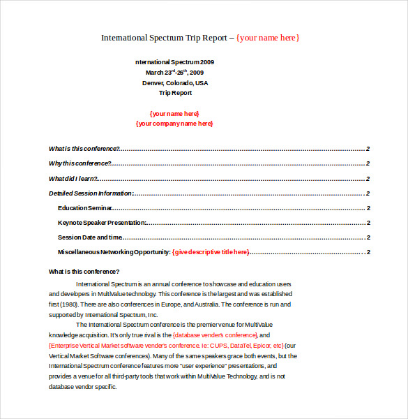 Free Business Trip Report Template