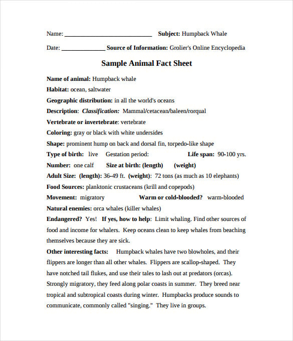 animal-fact-sheet-pdf-template-free-download