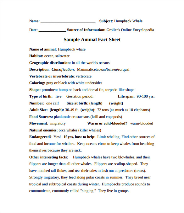 animal fact sheet pdf template free download