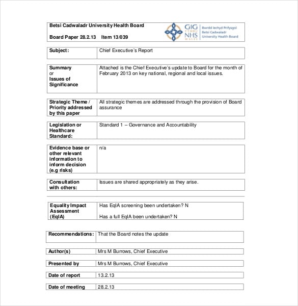 chief executive report template
