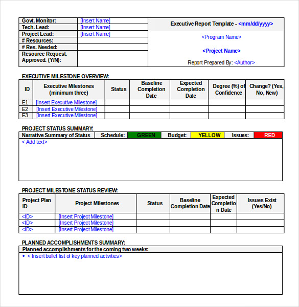 Executive Summary Project Status Report Template