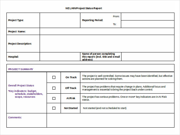 free download project status report template doc format