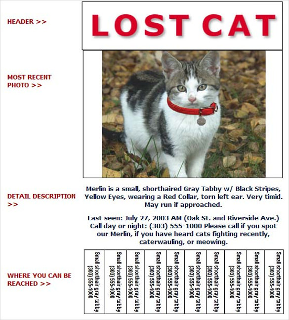 free-printable-lost-pet-flyer-printable-templates