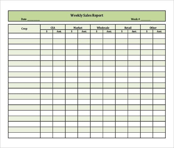 weekly-sales-report-template1