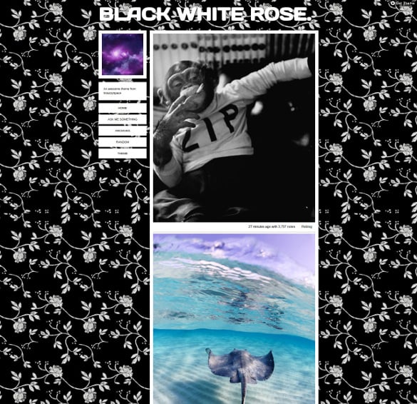 white roses tumblr background template