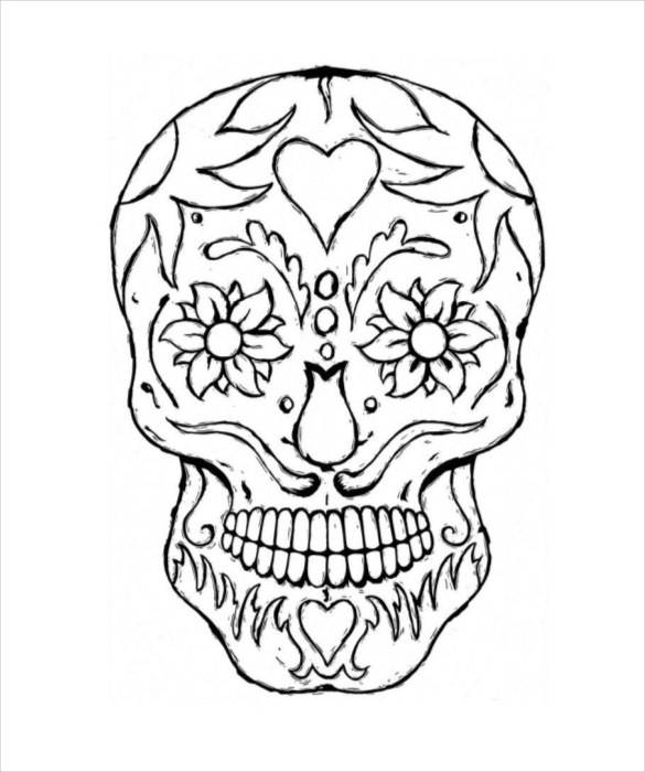 Skull Drawing Template 14 Free PDF Documents Download 