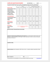 monthly sales report template
