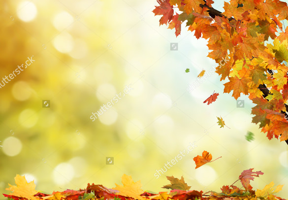 Fall Backgrounds 31  Free PSD AI Vector EPS Format Download