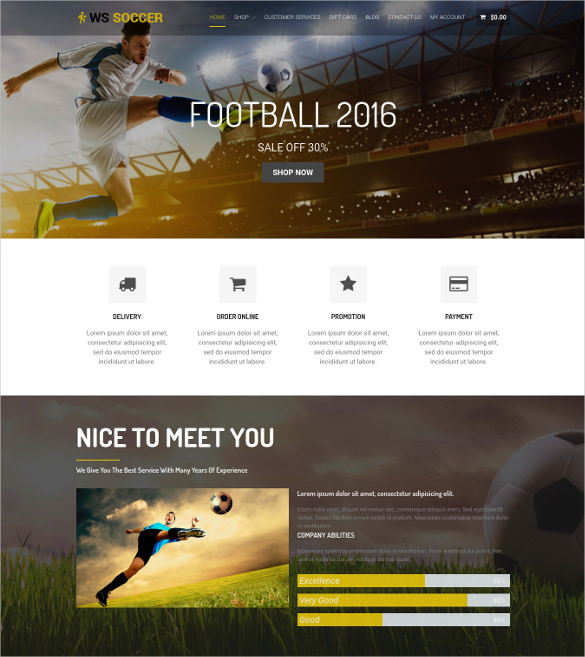 soccer sport wordpress website template