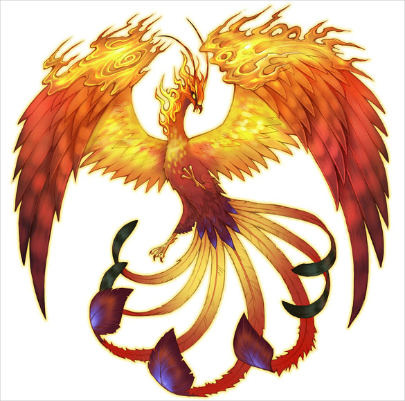 real phoenix bird drawing