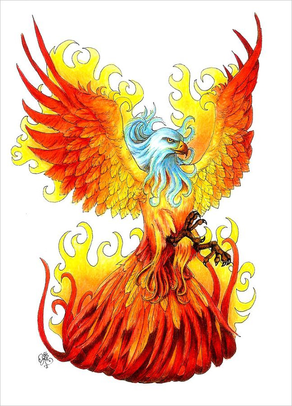 phoenix bird drawings color